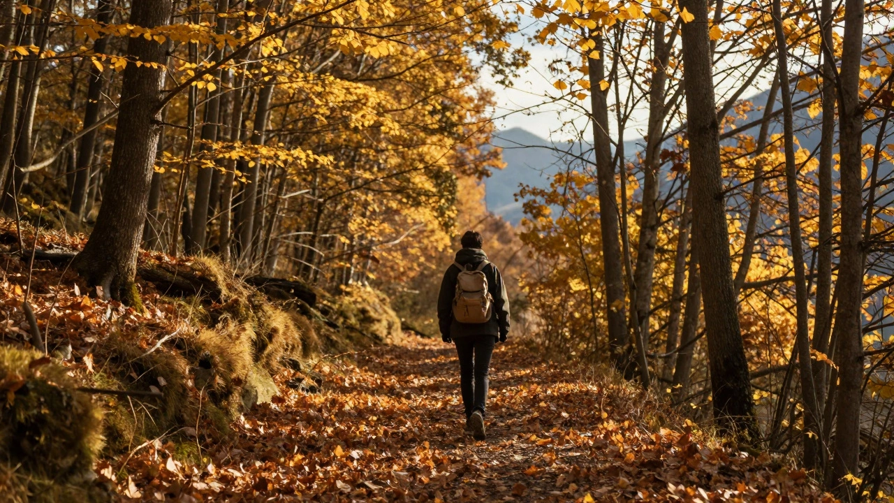 Как называется ходить пешком - полное руководство по пешеходному туризму